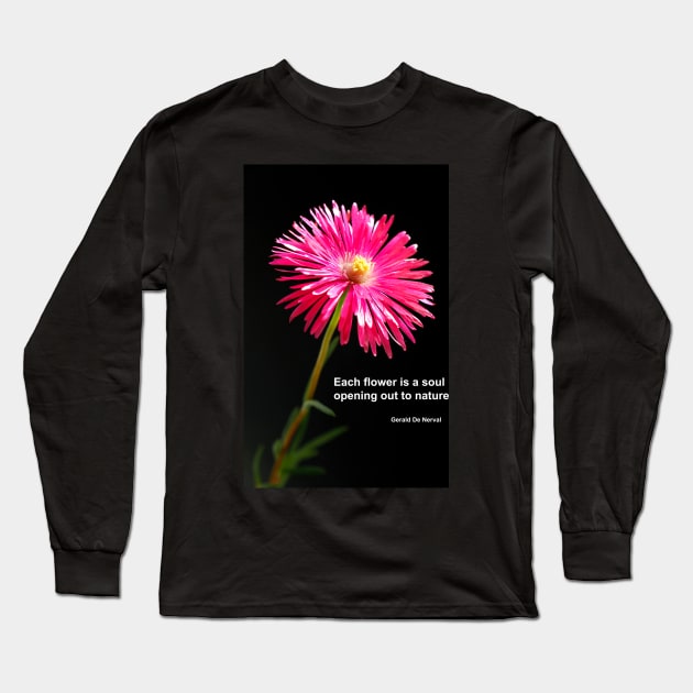 Nature is Beautiful Long Sleeve T-Shirt by jwwallace